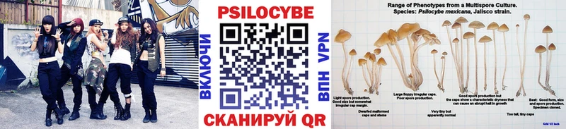 купить сайты Валдай Галлюциногенные грибы мицелий